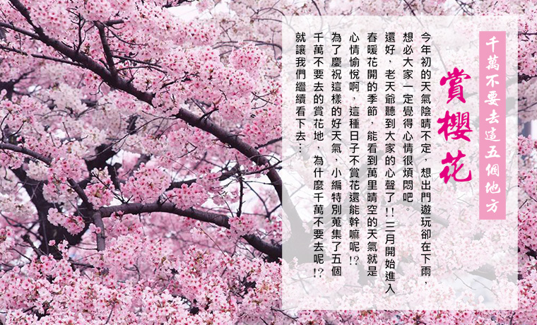 千萬不要去這五個地方賞櫻花
